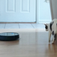 Anker Eufy RoboVac 11s | $180 | Amazon | Clip the $50 coupon